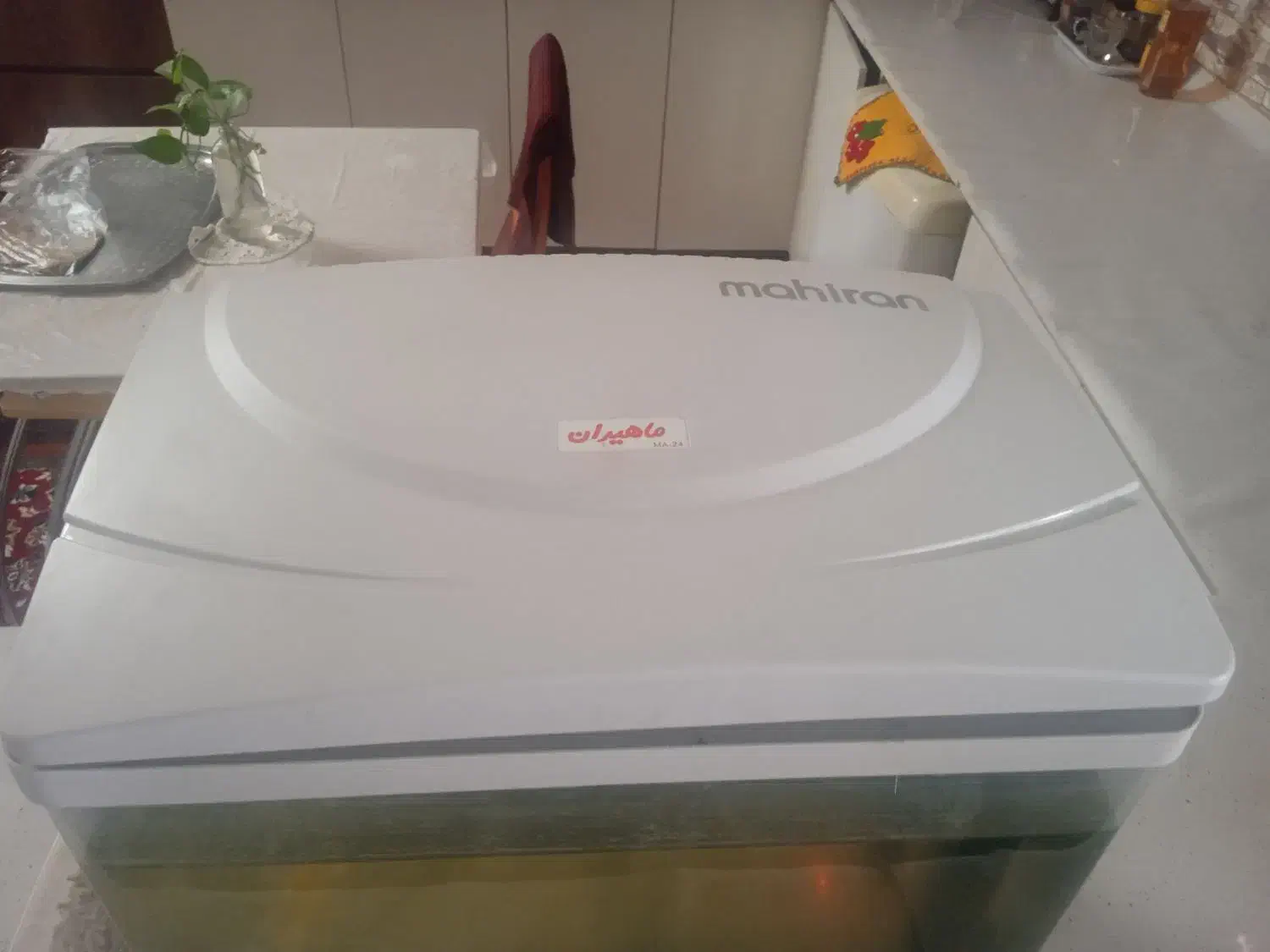 آکواریوم شرکتی برند ماهیران. سالم|ماهی|قم, باجک یک|دیوار