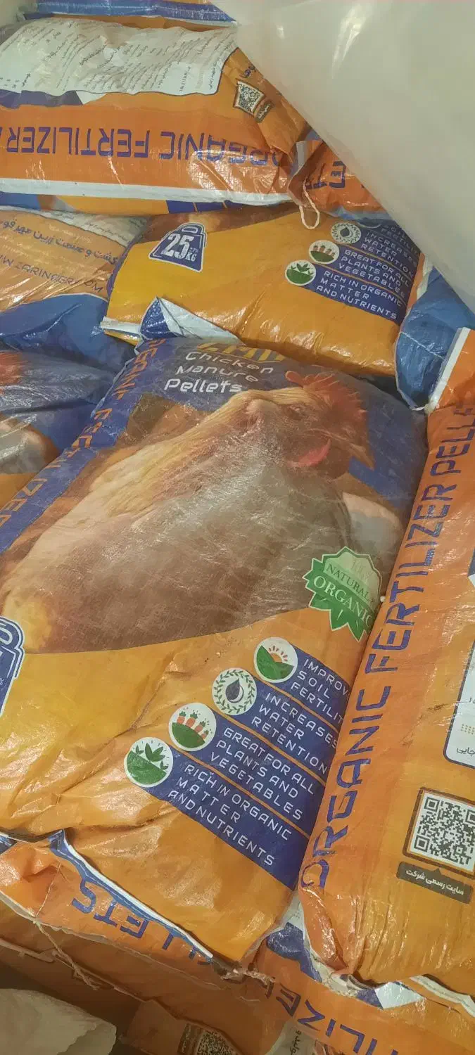 چالکود زمستانه|خدمات باغبانی و درختکاری|الوند, |دیوار