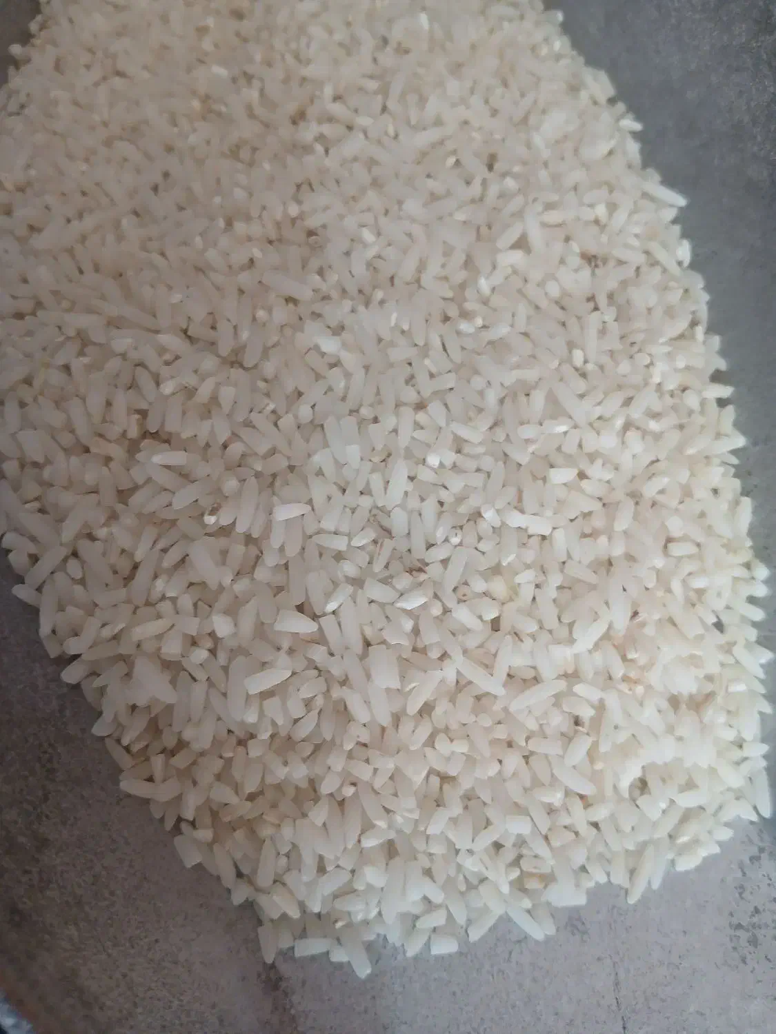 سرلاشه هاشمی معطر به شرط پخت ۲۳۰|خوردنی و آشامیدنی|قدس, شهرقدس|دیوار