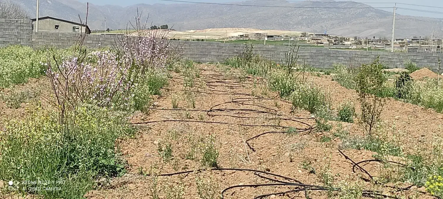 هزارمتر باغ بیضا|فروش دفتر صنعتی، کشاورزی، تجاری|بیضا, |دیوار