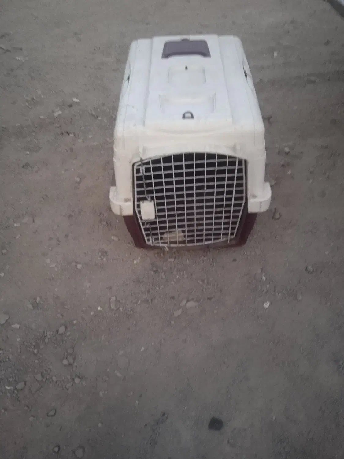 باکس خواب سگ|لوازم جانبی حیوانات|نسیمشهر, |دیوار