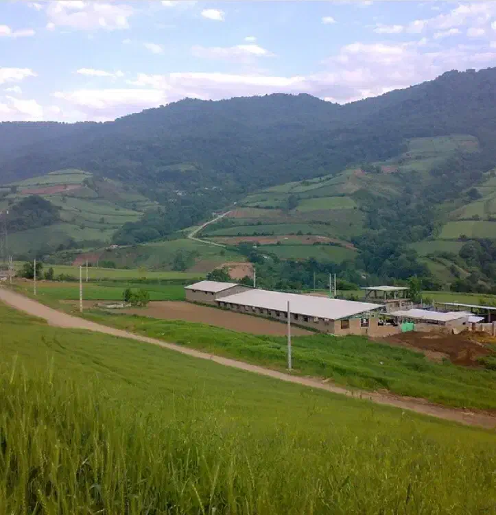 کارگر دامداری مقیم|استخدام صنعتی، فنی، مهندسی|مینودشت, |دیوار