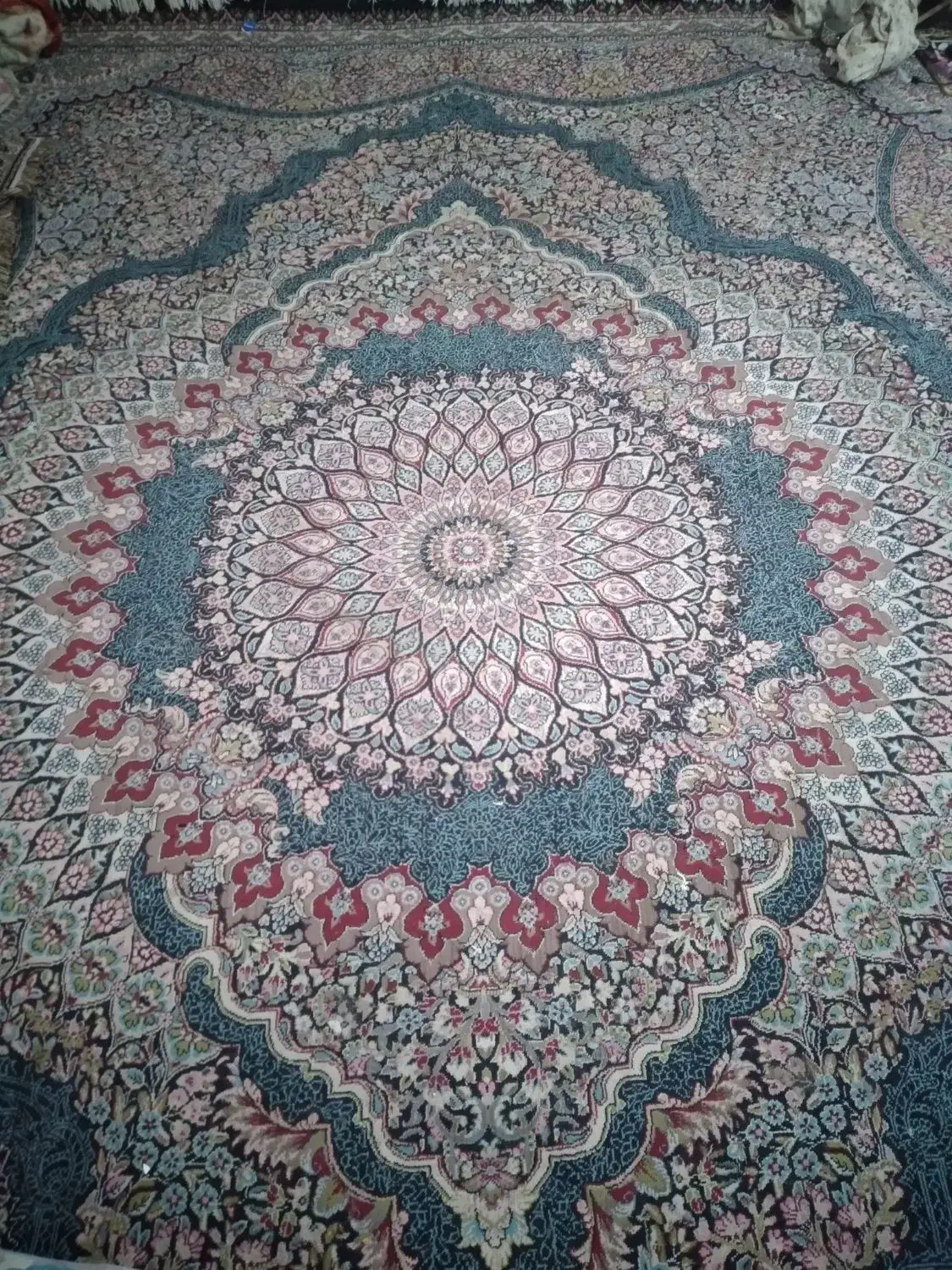 قالی 500شانه سالم درحد|فرش|جیرفت, |دیوار