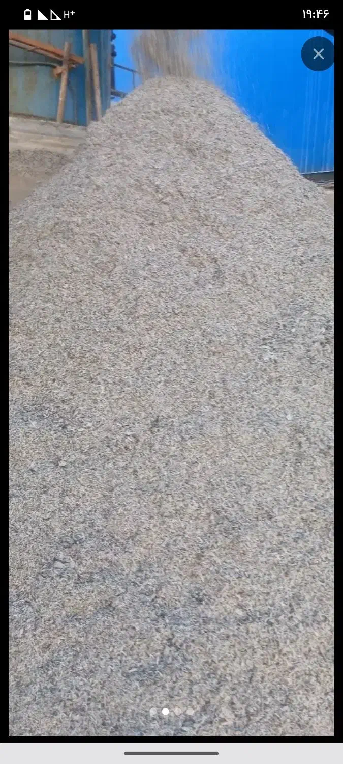 تفاله چغندر خیس و خشک|لوازم جانبی حیوانات|سیلاخور, |دیوار