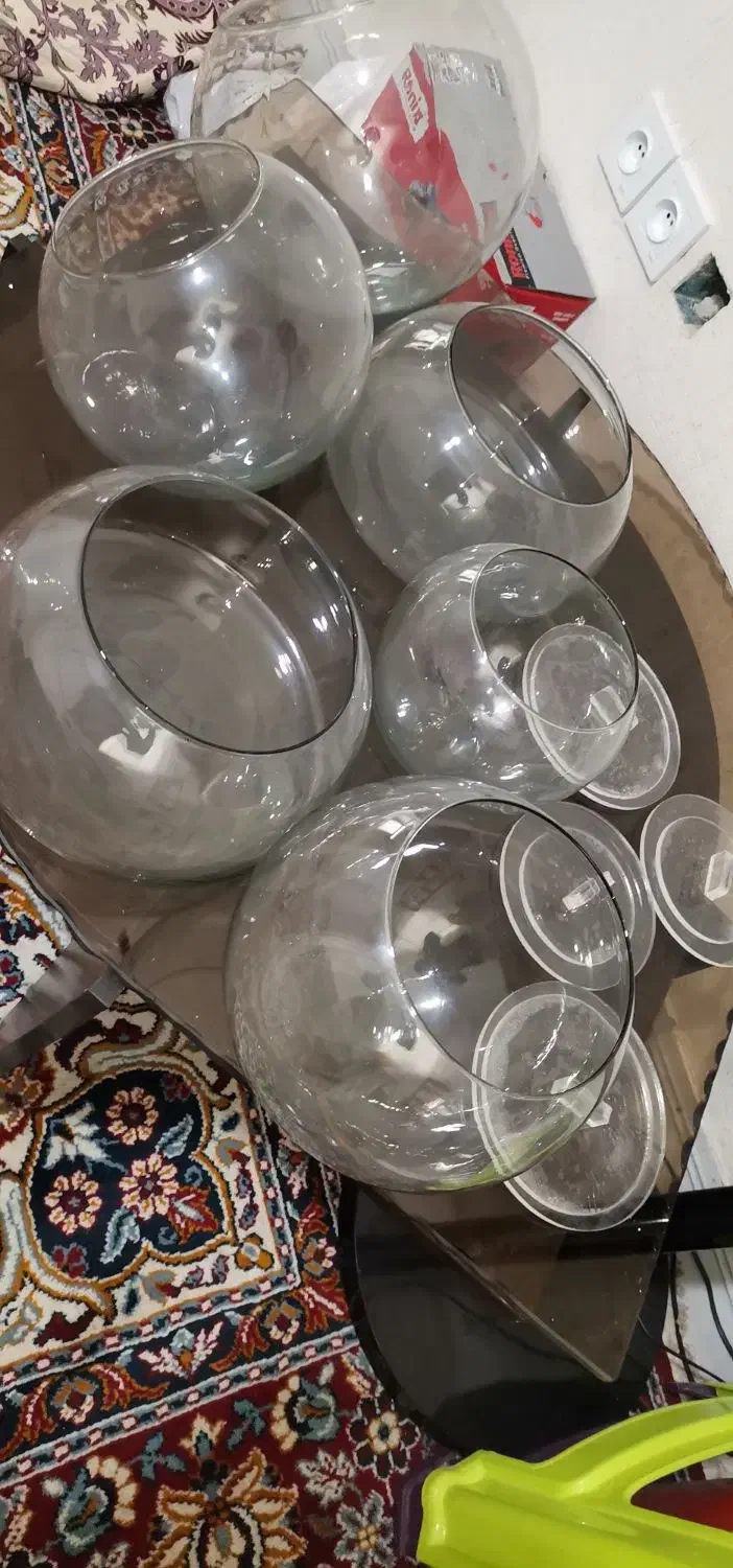 تنگ|ظروف پخت‌وپز|بوشهر, |دیوار