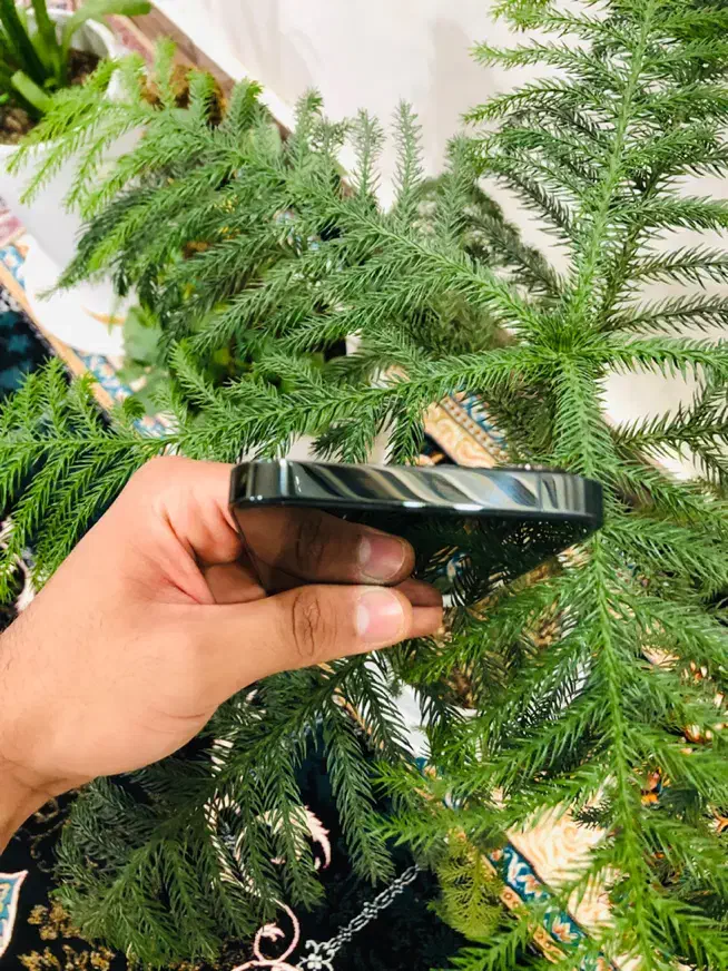 اپل ۱۳پرو|موبایل|زابل, |دیوار