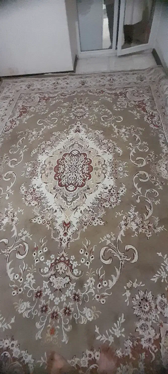 فرش ماشینی ۱۲ متری|فرش|سهند, |دیوار