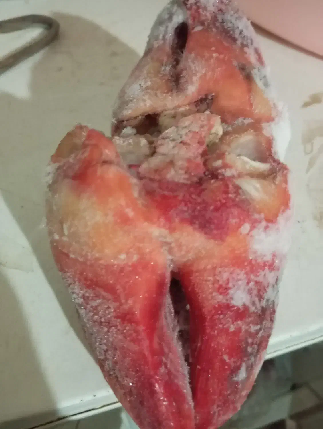 پاچه گاو|خوردنی و آشامیدنی|سمنان, |دیوار