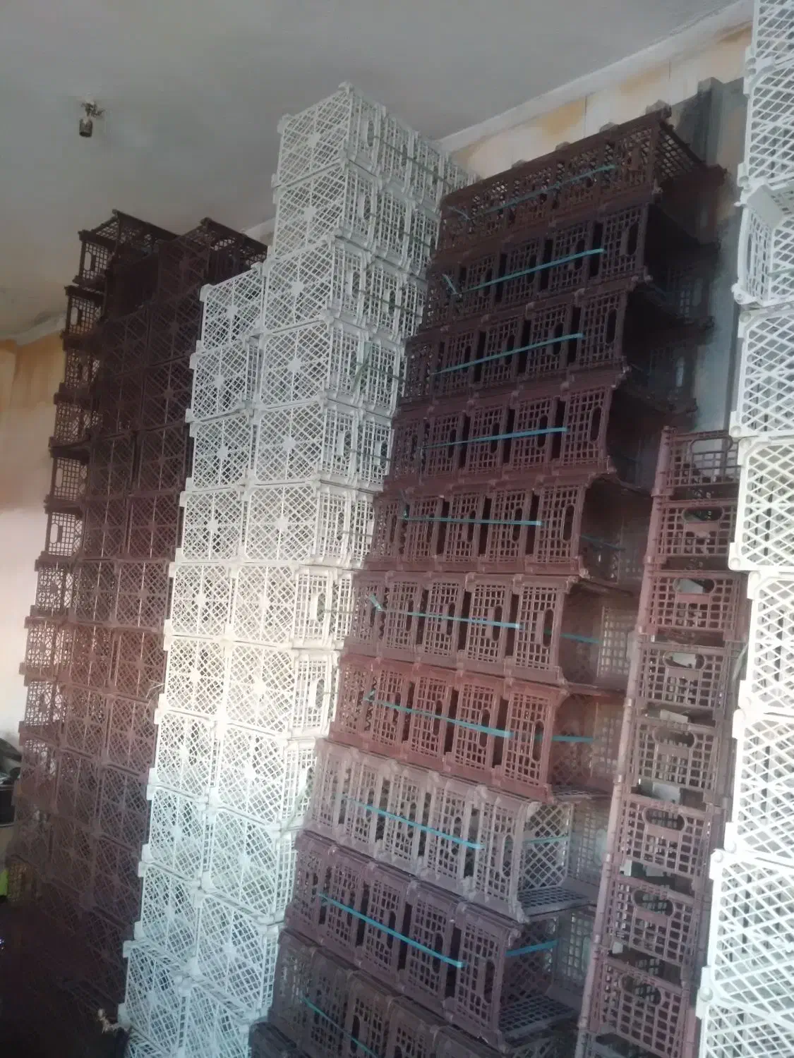 کارتون موز سبد کارتن انبه ضربه گیر روزنامه|عمدهفروشی|سنندج, |دیوار