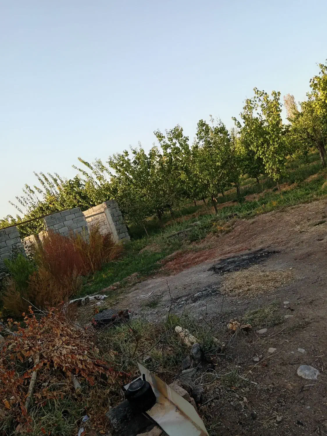 فروش باغ|فروش زمین و ملک کلنگی|یامچی, |دیوار