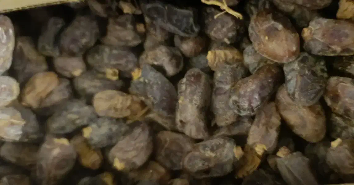 خرما کباب درجه یک دون درشت منطقه بناری|عمدهفروشی|سعدآباد, |دیوار