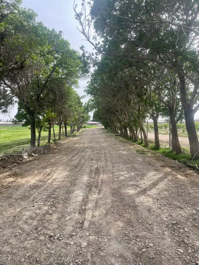 باغچه / فنسکشی/درب/درخت/آبیاری قطره ای حسن آباد|فروش خانه و ویلا|فشاپویه, |دیوار