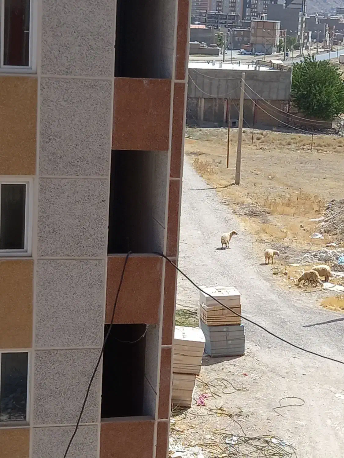 سیمانکاری و دیوار چینی|خدمات پیشه و مهارت|ماکو, |دیوار