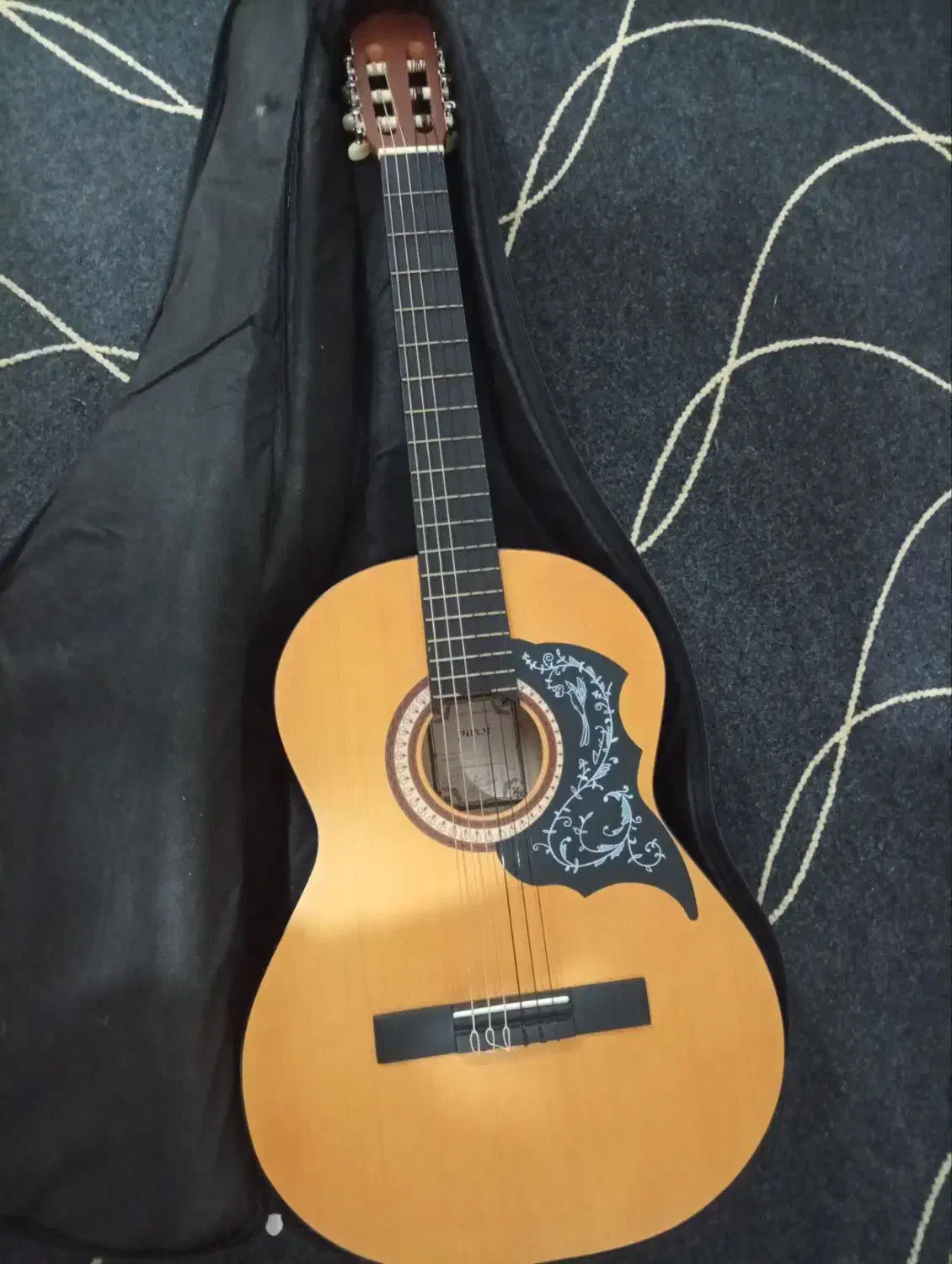 گیتار|گیتار، بیس، امپلیفایر|شیراز, شهرک قمشه|دیوار