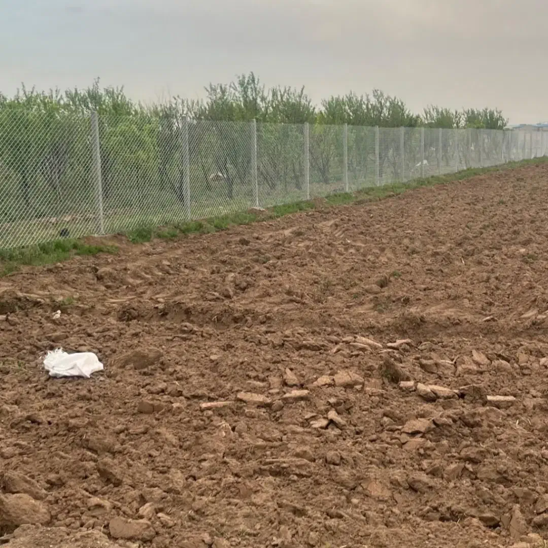 باغبانی|خدمات باغبانی و درختکاری|همدان, |دیوار