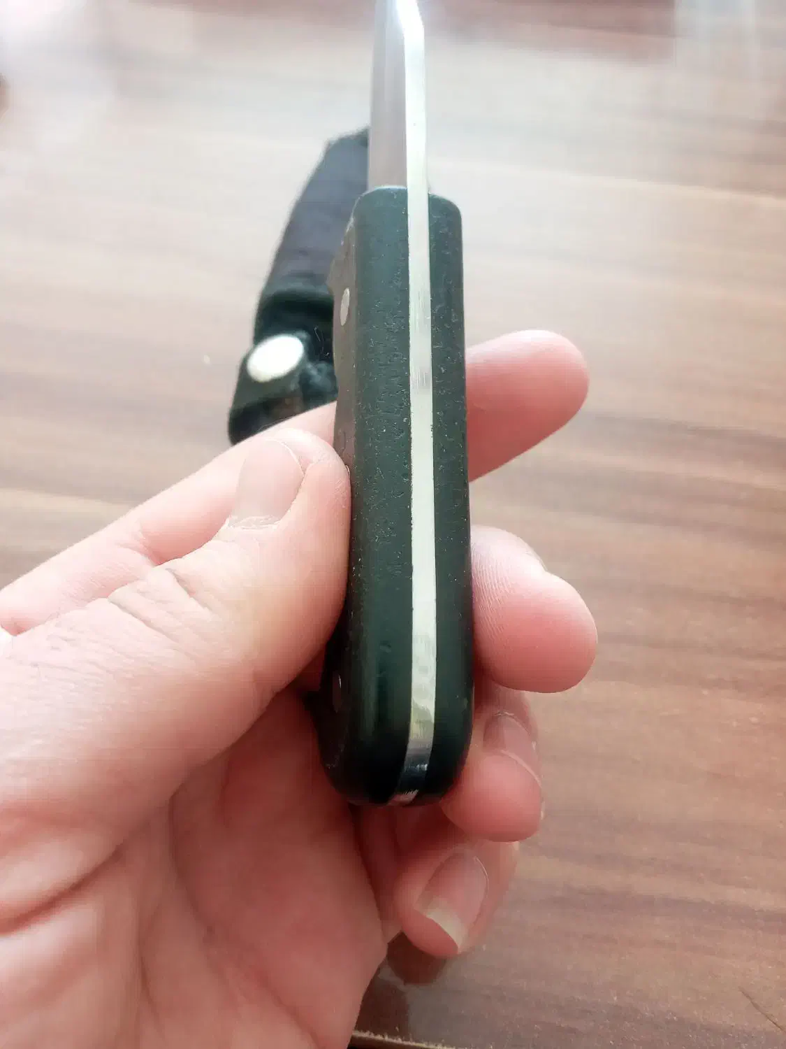 چاقو امریکایی|کوهنوردی و کمپینگ|بجنورد, |دیوار