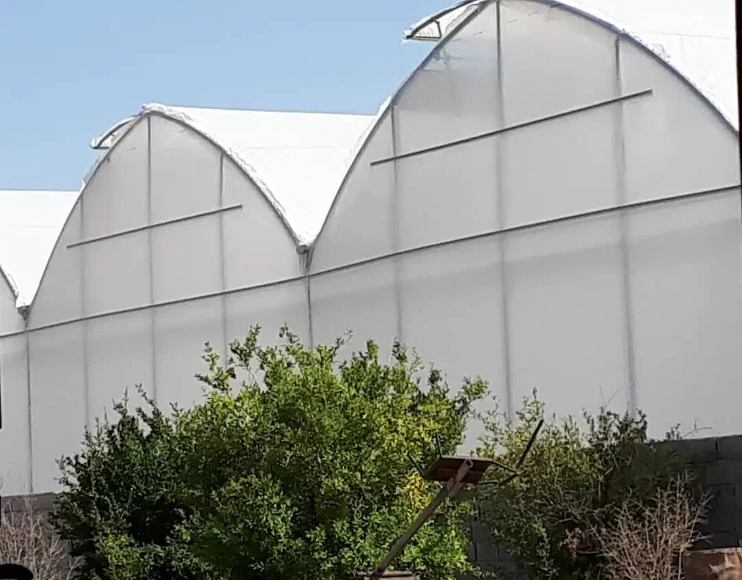 فروش گلخانه- شاهین شهر|فروش دفتر صنعتی، کشاورزی، تجاری|شاهین‌شهر, مورچه خورت|دیوار