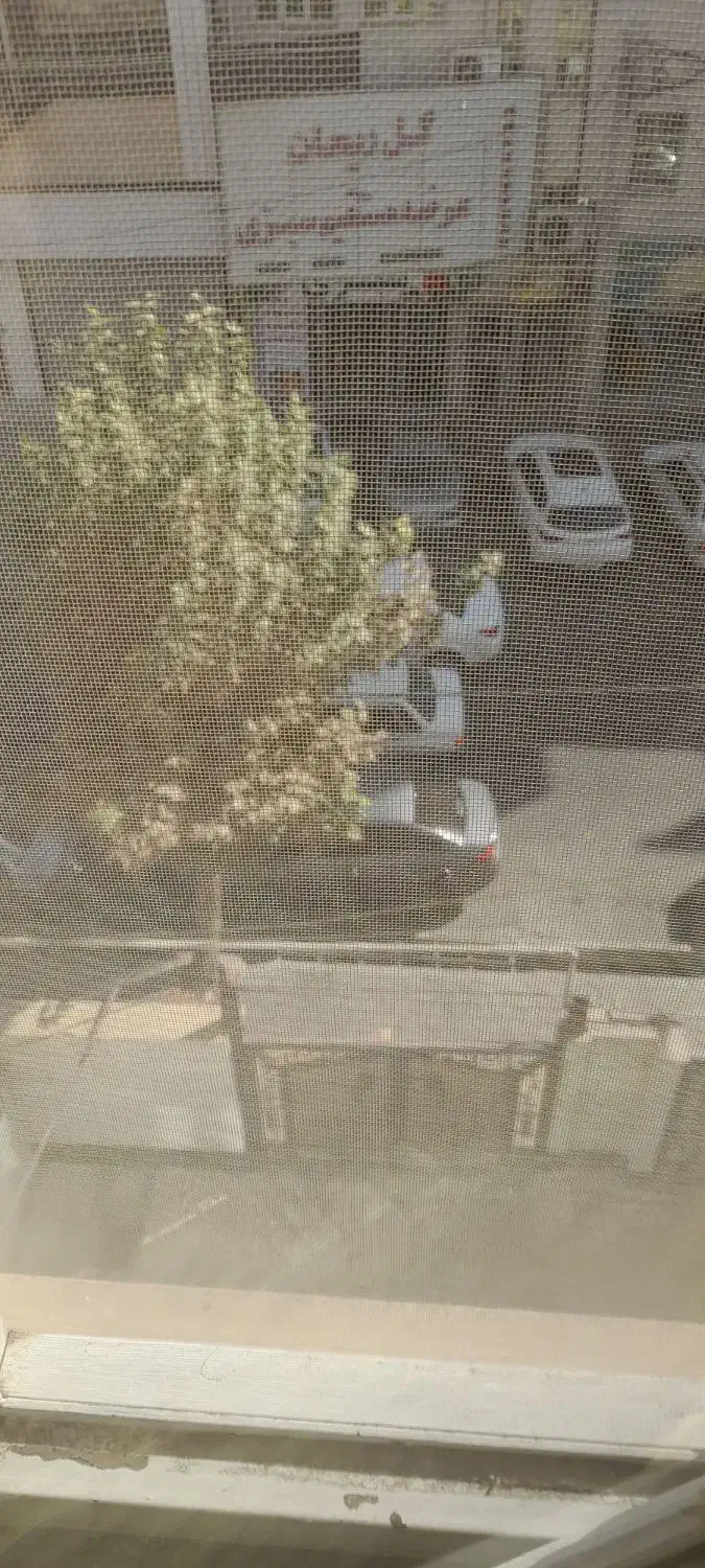 ۲۲۰ متر بحر ابوذر|فروش آپارتمان|اسلام‌شهر, مطهری|دیوار