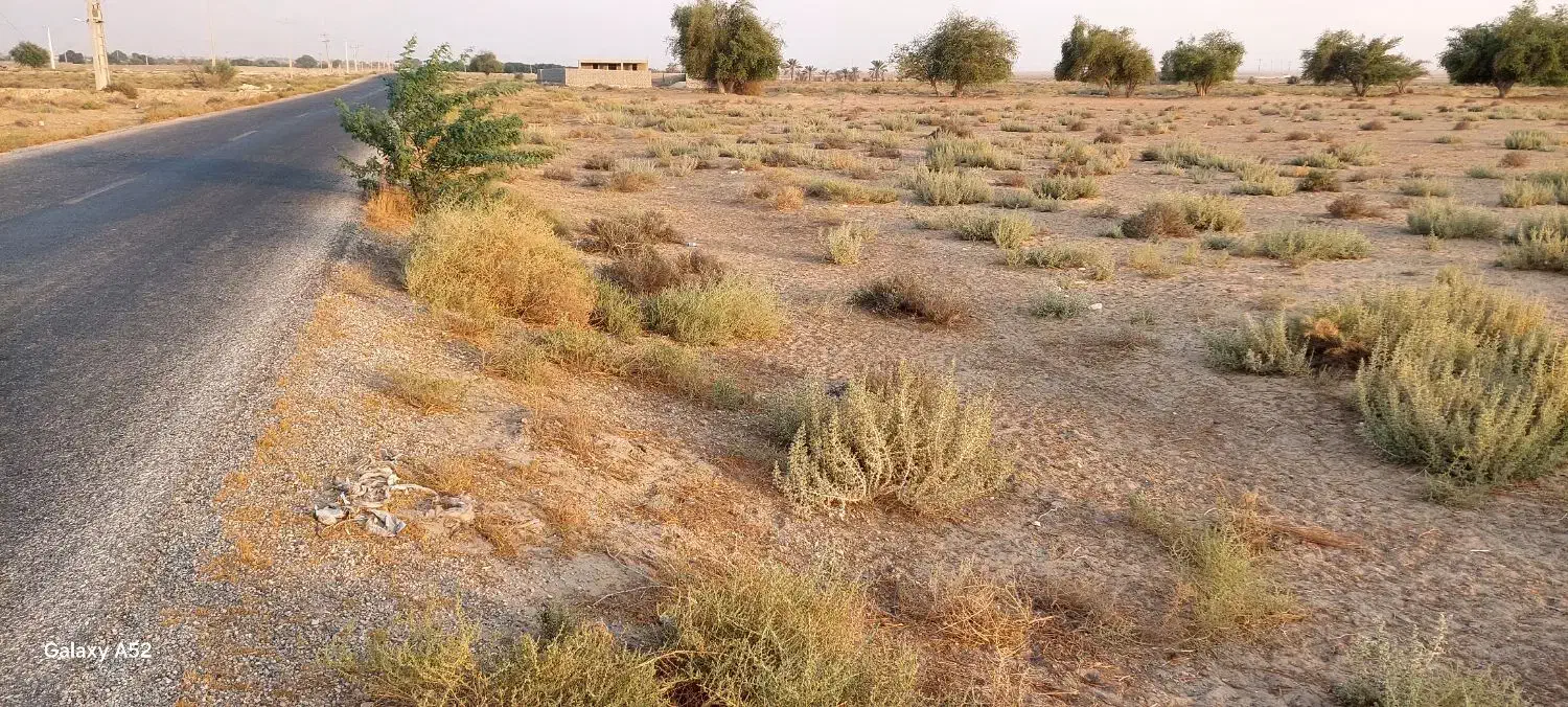 زمین چاه پیر|فروش دفتر صنعتی، کشاورزی، تجاری|اهرم, |دیوار