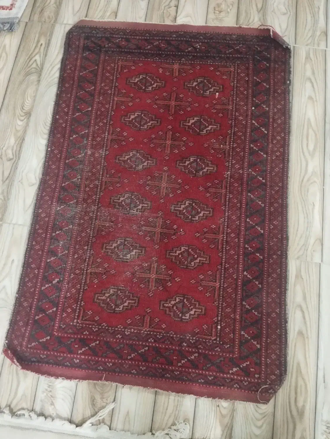 گلیم پادری|گلیم، جاجیم، گبه|شیروان (خراسان), |دیوار