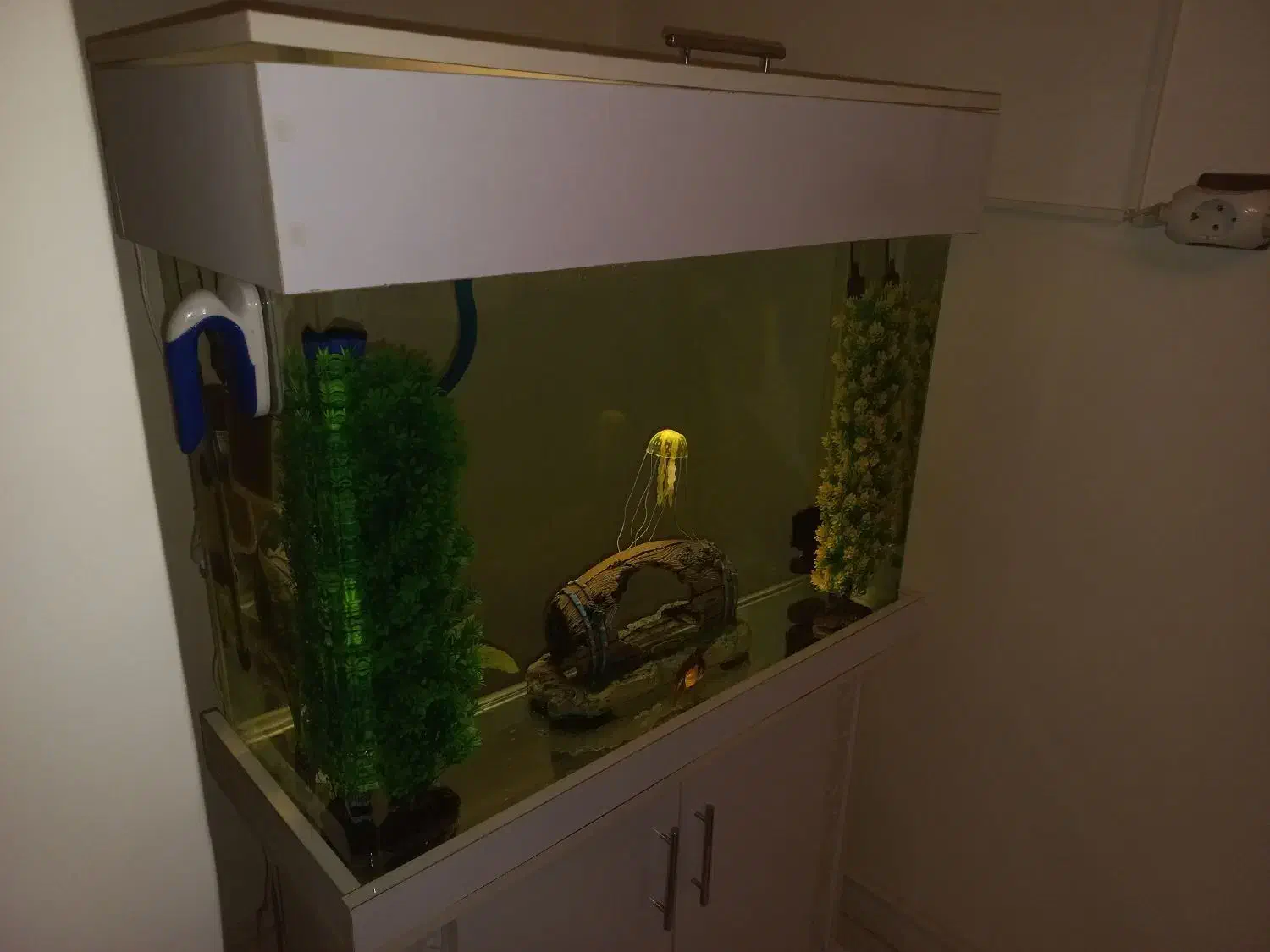 آکواریوم|ماهی|تهران, صادقیه|دیوار