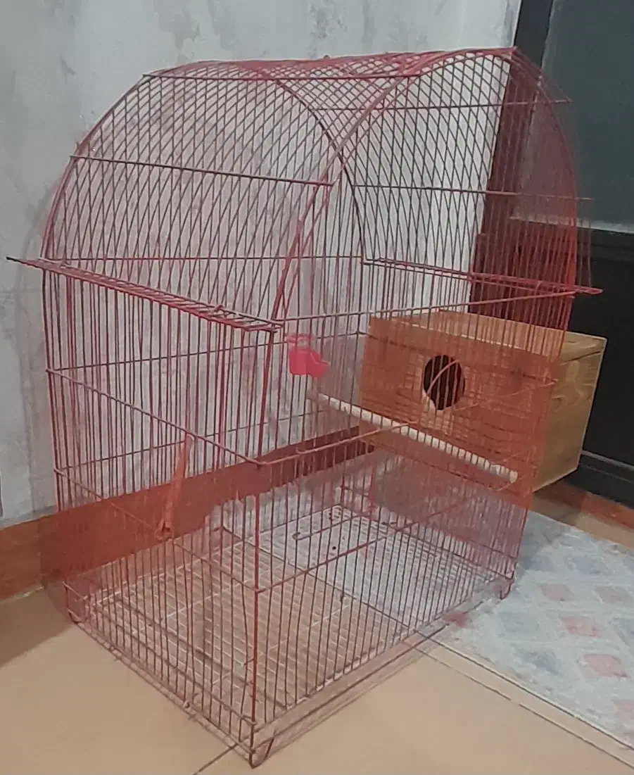 قفس پرنده|لوازم جانبی حیوانات|قدس, شهر‌قدس|دیوار