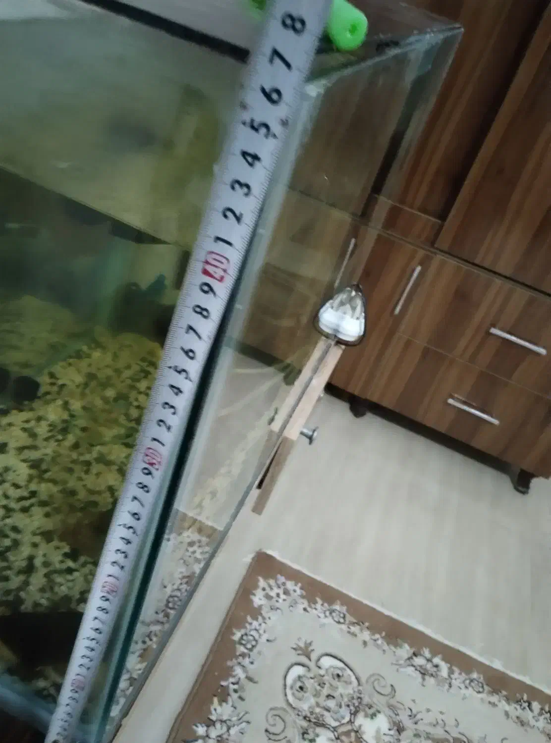 آکواریوم بزرگ|ماهی|میاندوآب, |دیوار