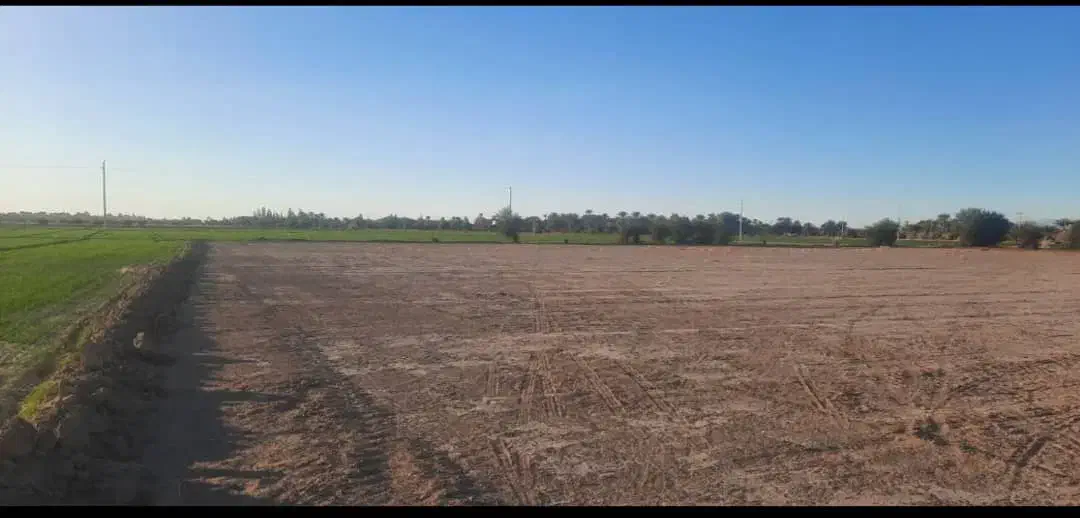 اجاره ۱۰ هکتار زمین کشاورزی آب شیرین هندوانه|اجارهٔ دفتر صنعتی، کشاورزی، تجاری|ایرانشهر, |دیوار