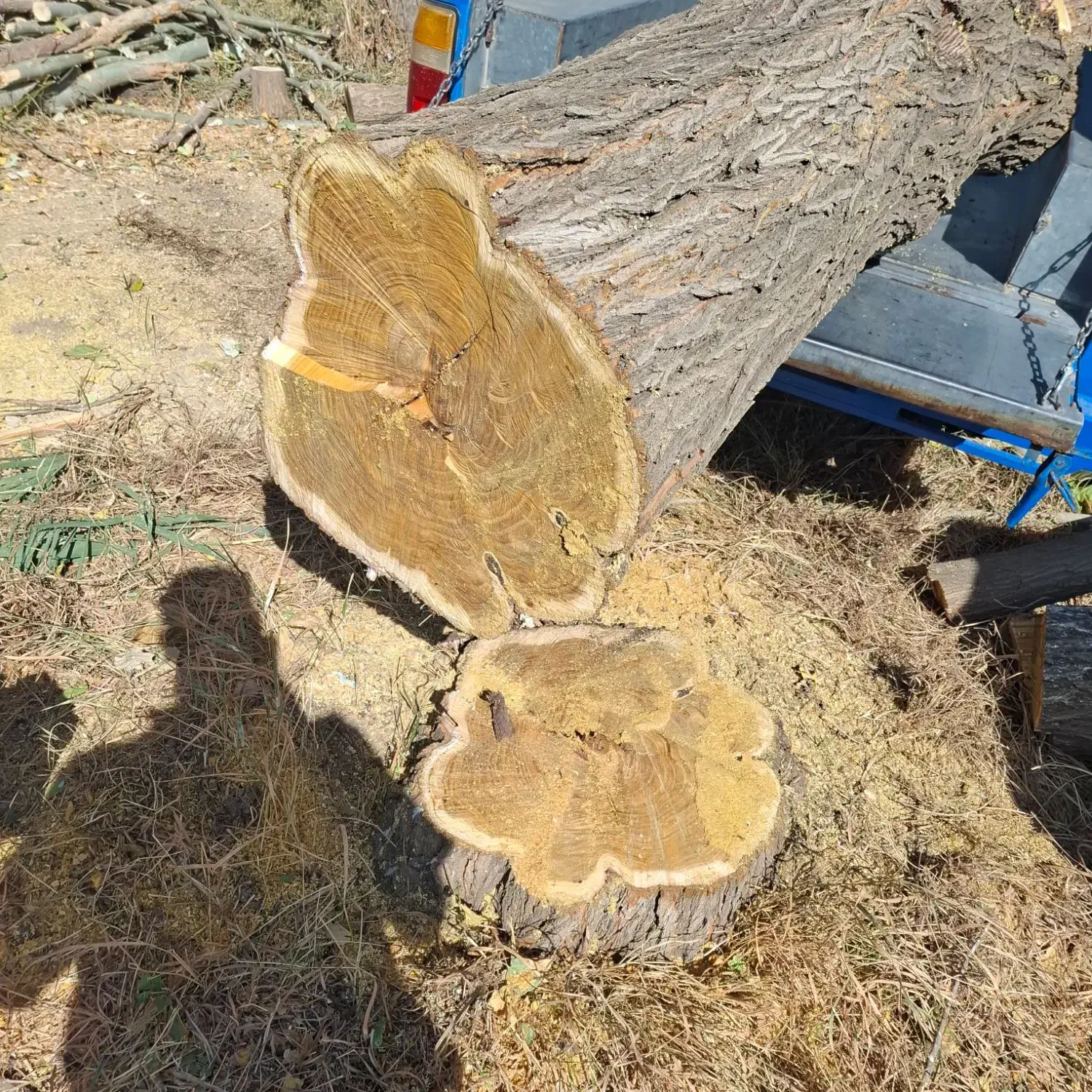 خریداره چوب همه نوع همه جا|خدمات باغبانی و درختکاری|قره چای, |دیوار