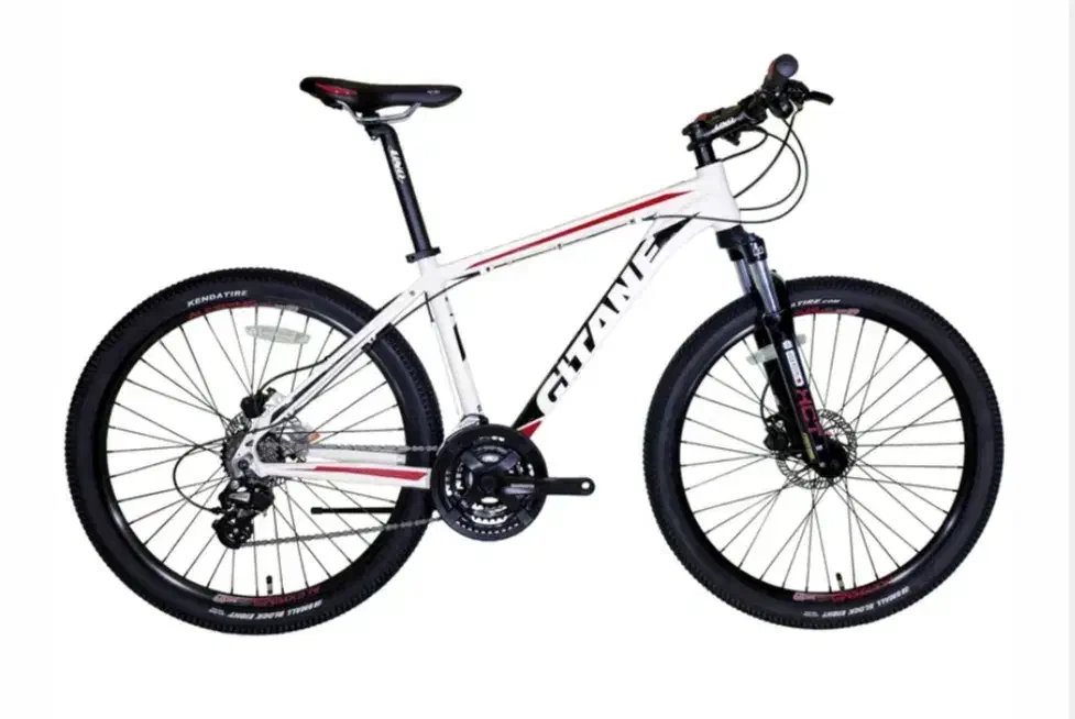 فروش دوچرخه ژیتان اصل|دوچرخه، اسکیت، اسکوتر|همدان, |دیوار