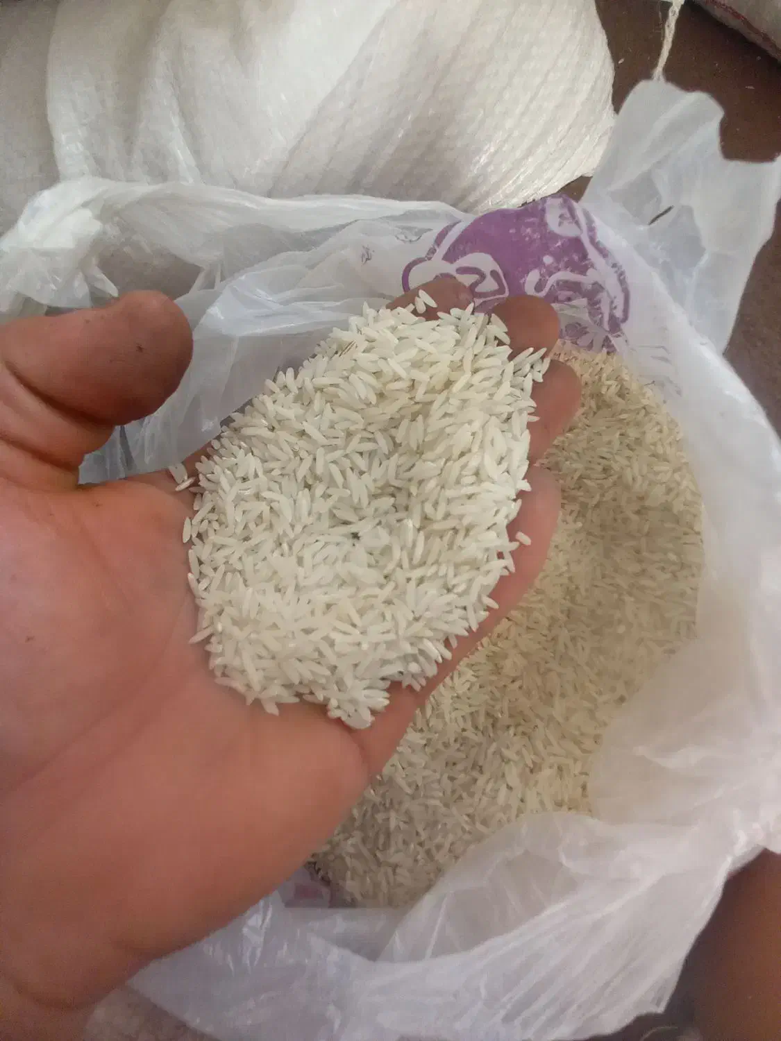 برنج هاشمی خانگی|خوردنی و آشامیدنی|واجارگاه, |دیوار