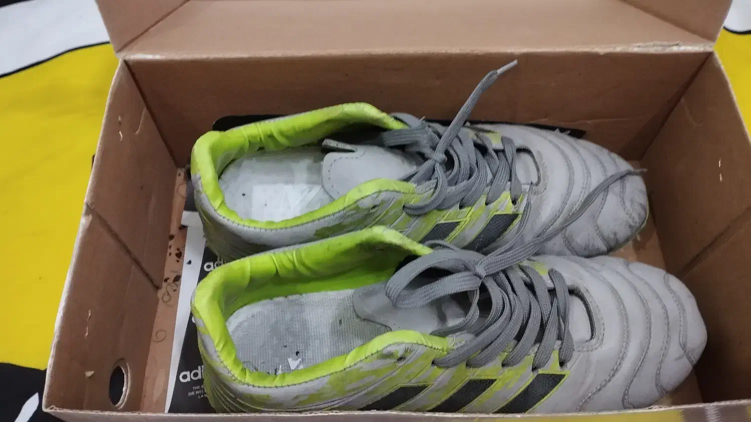 کفش چمن|تجهیزات ورزشی|مشهد, محمدآباد|دیوار