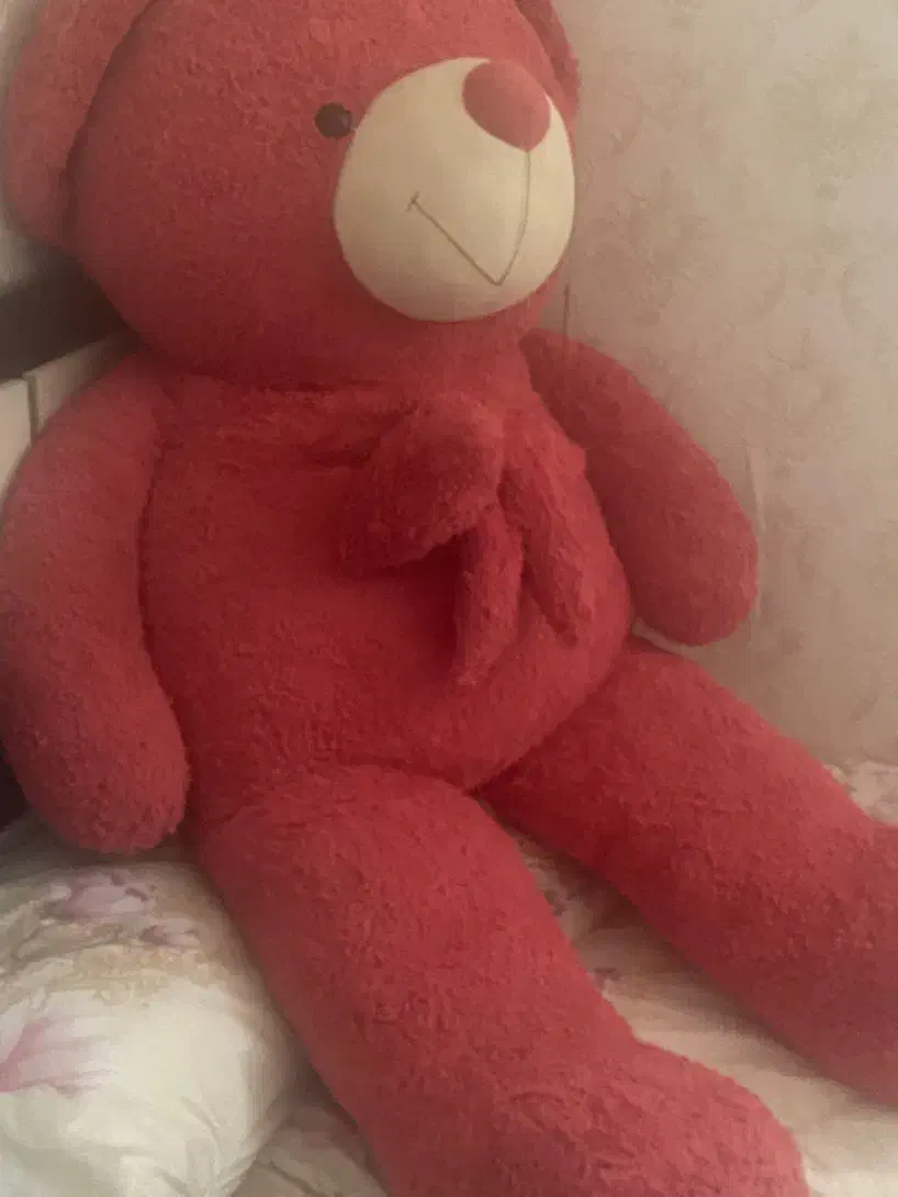 عروسک تدی بزرگ|اسباببازی|مشهد, تربیت (صدف)|دیوار