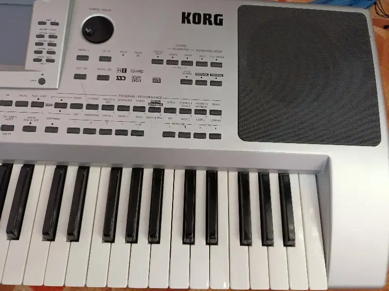 در حد صفر پلم|پیانو، کیبورد، آکاردئون|دوگنبدان, |دیوار