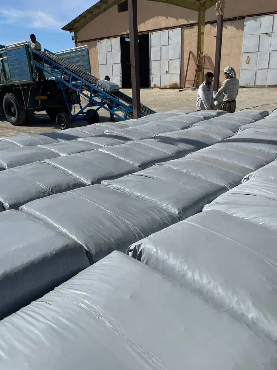 ذرت علوفه بسته بندی مهران|عمده‌فروشی|مهران (ایلام), |دیوار