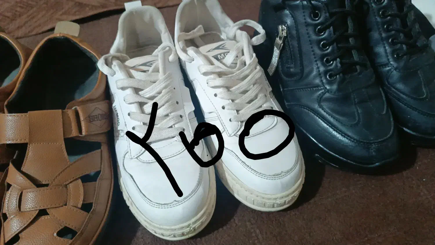 کفش|کیف، کفش، کمربند|شوشتر, |دیوار