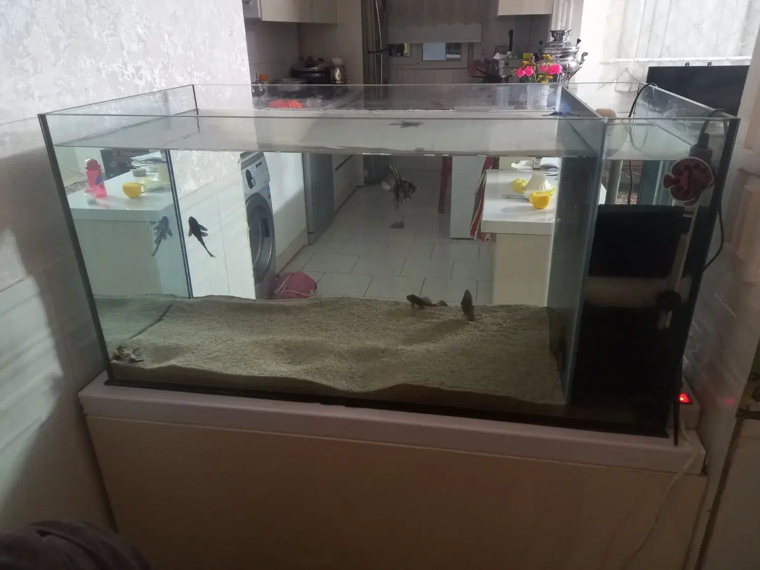 یک عدد آکواریم با سامپ بغل|ماهی|ورامین, ورامین|دیوار