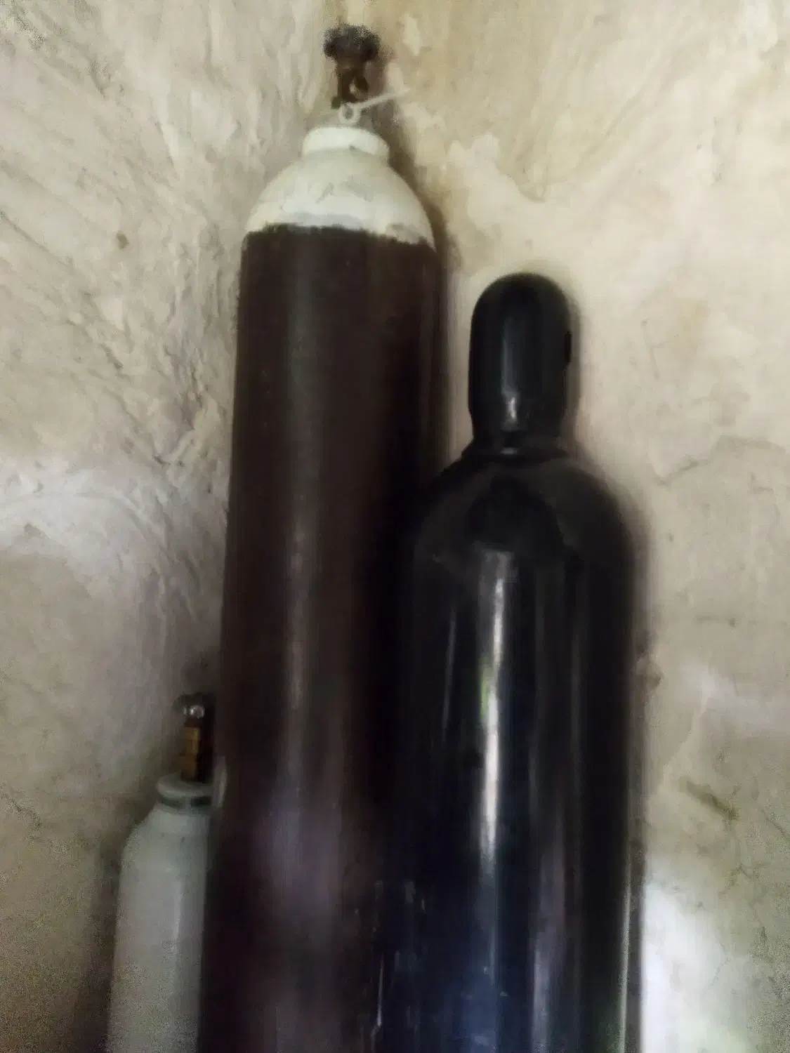 فروش|پزشکی|بوشهر, |دیوار