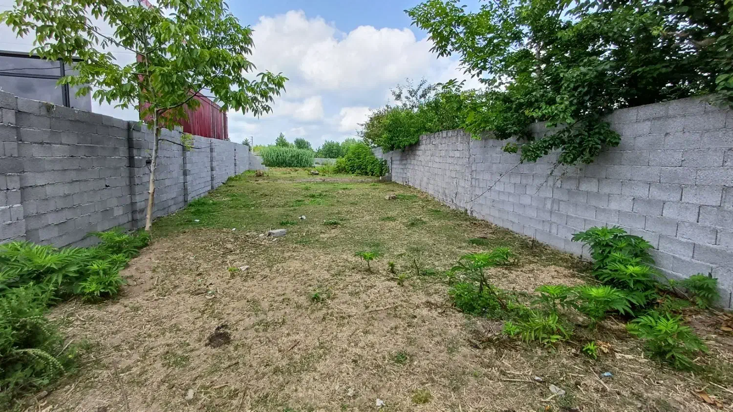 زمین۲۵۰متر مسکونی با استعلامات کامل دورمحصور|فروش زمین و ملک کلنگی|خشکبیجار, |دیوار