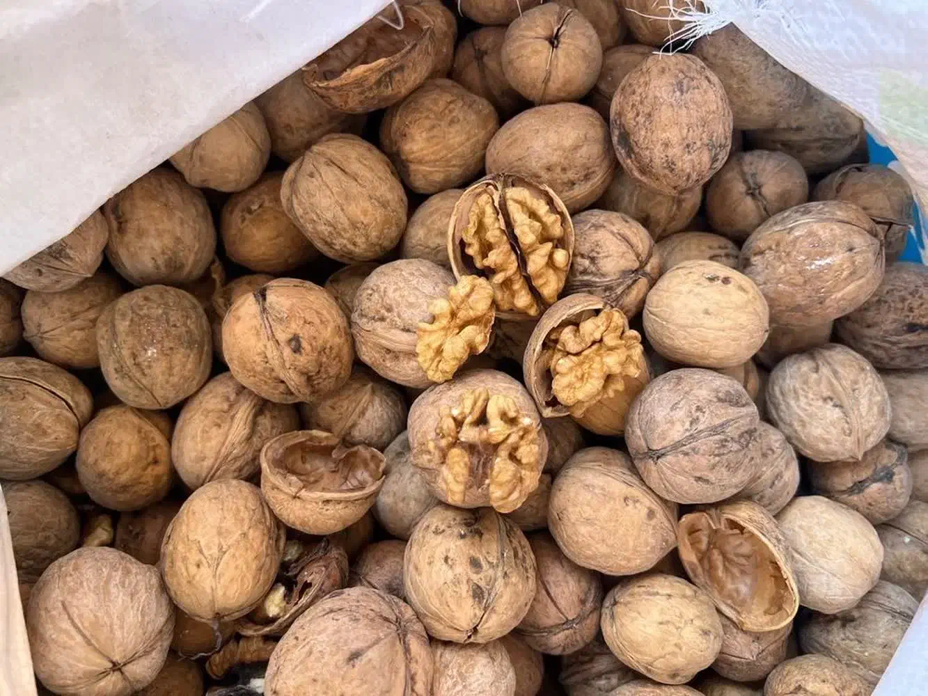 سلام تمیز گردو|عمده‌فروشی|کارون, |دیوار