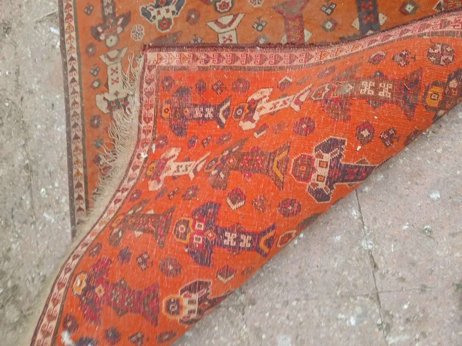 قالی دست بافت قدیمی|فرش|شیراز, ترمینال باربری|دیوار