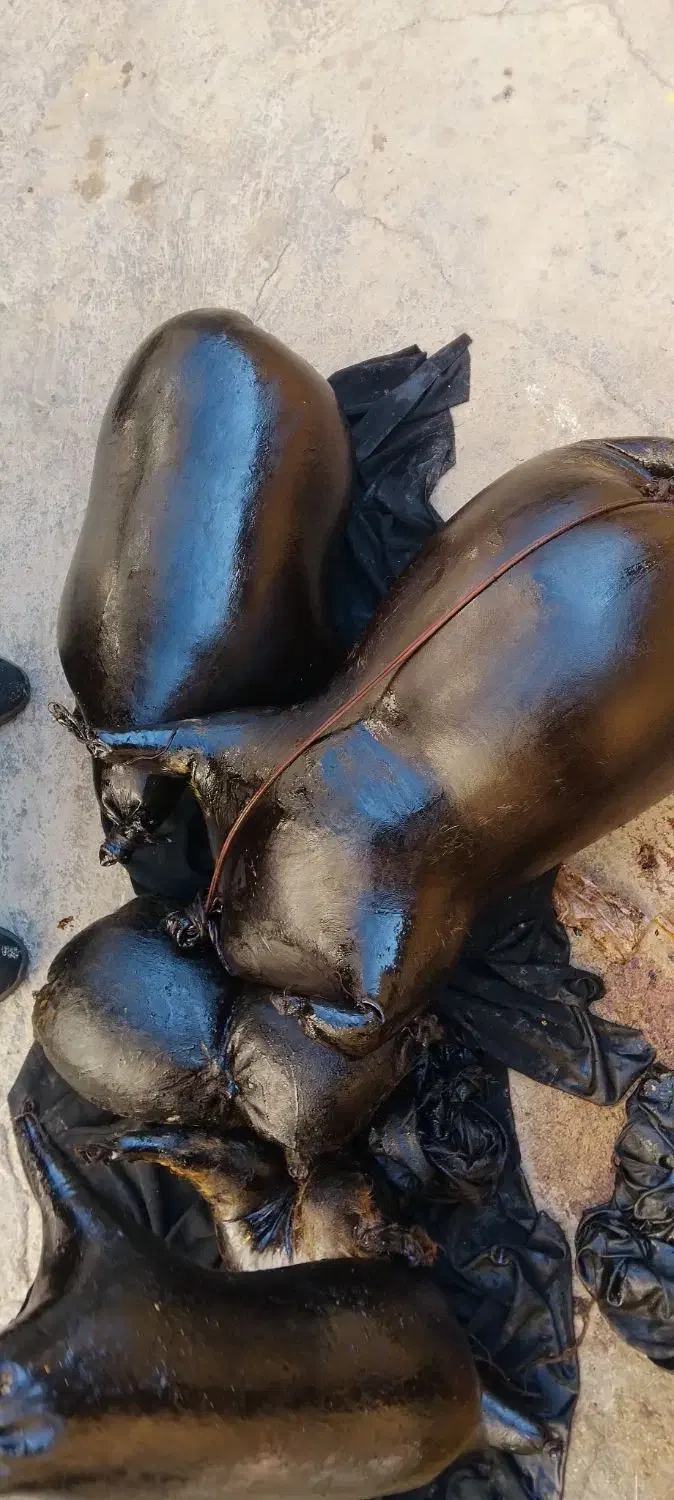 هیزه یاخیک برای نگهداری روغن|ظروف نگهدارنده، پلاستیکی، یک‌بارمصرف|اسلام‌‌آباد غرب, |دیوار