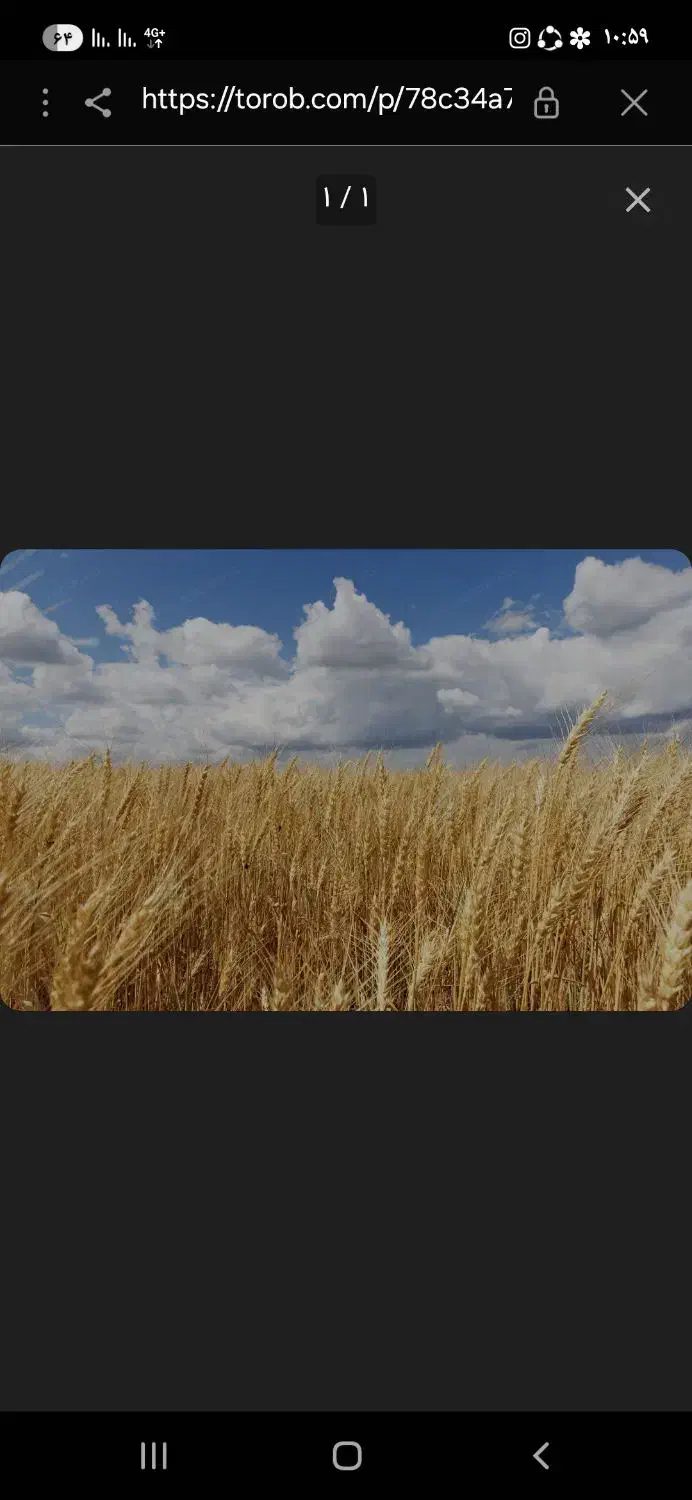 باغ و مزرعه کشاورزی دهاقان بودجان|فروش دفتر صنعتی، کشاورزی، تجاری|دهاقان, |دیوار