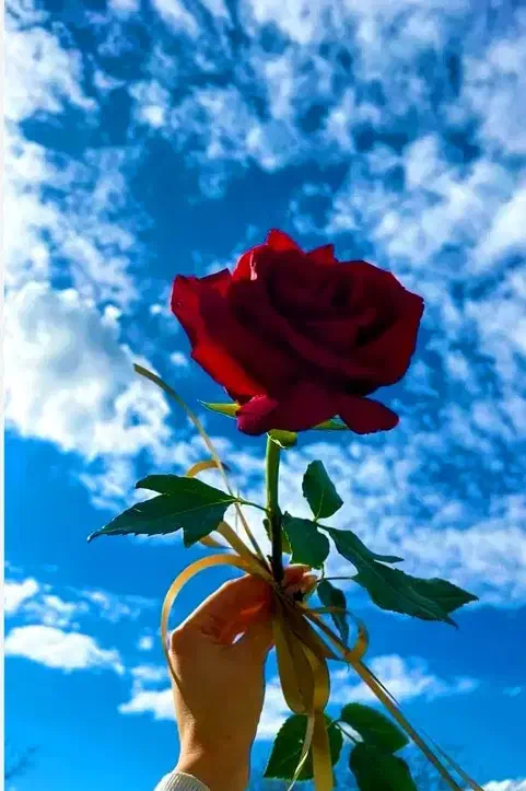 مجسمه برای فروش|مجسمه، تندیس، ماکت|اهواز, زیتون کارگری|دیوار