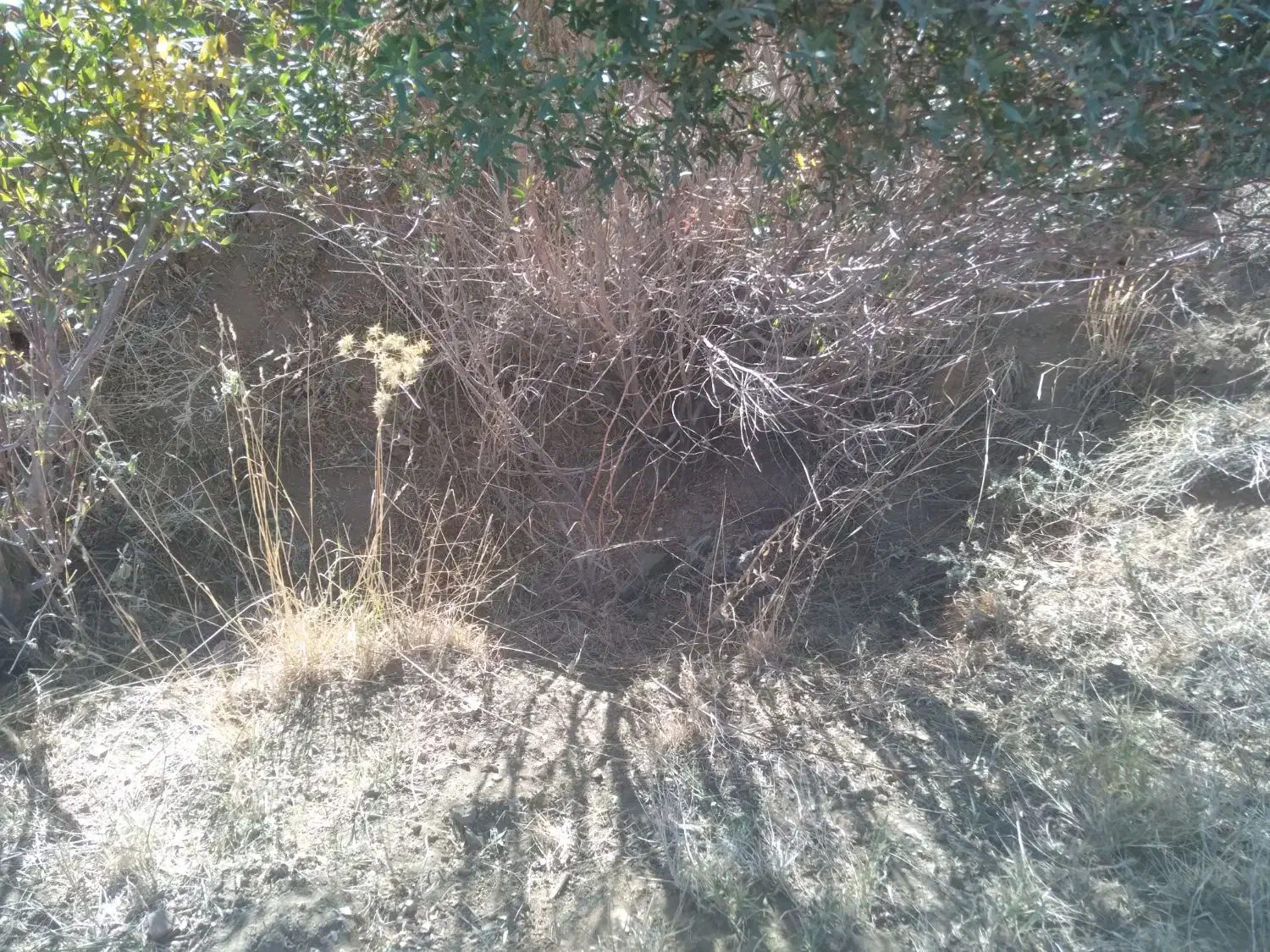 زمین زراعی|فروش دفتر صنعتی، کشاورزی، تجاری|ایجرود, |دیوار