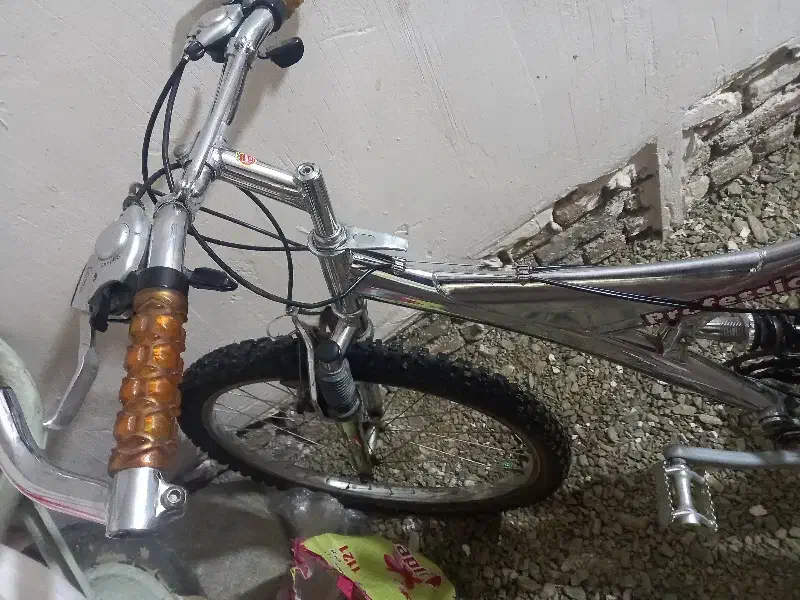 دوچرخه ۲۶|دوچرخه، اسکیت، اسکوتر|سیلوانه, |دیوار