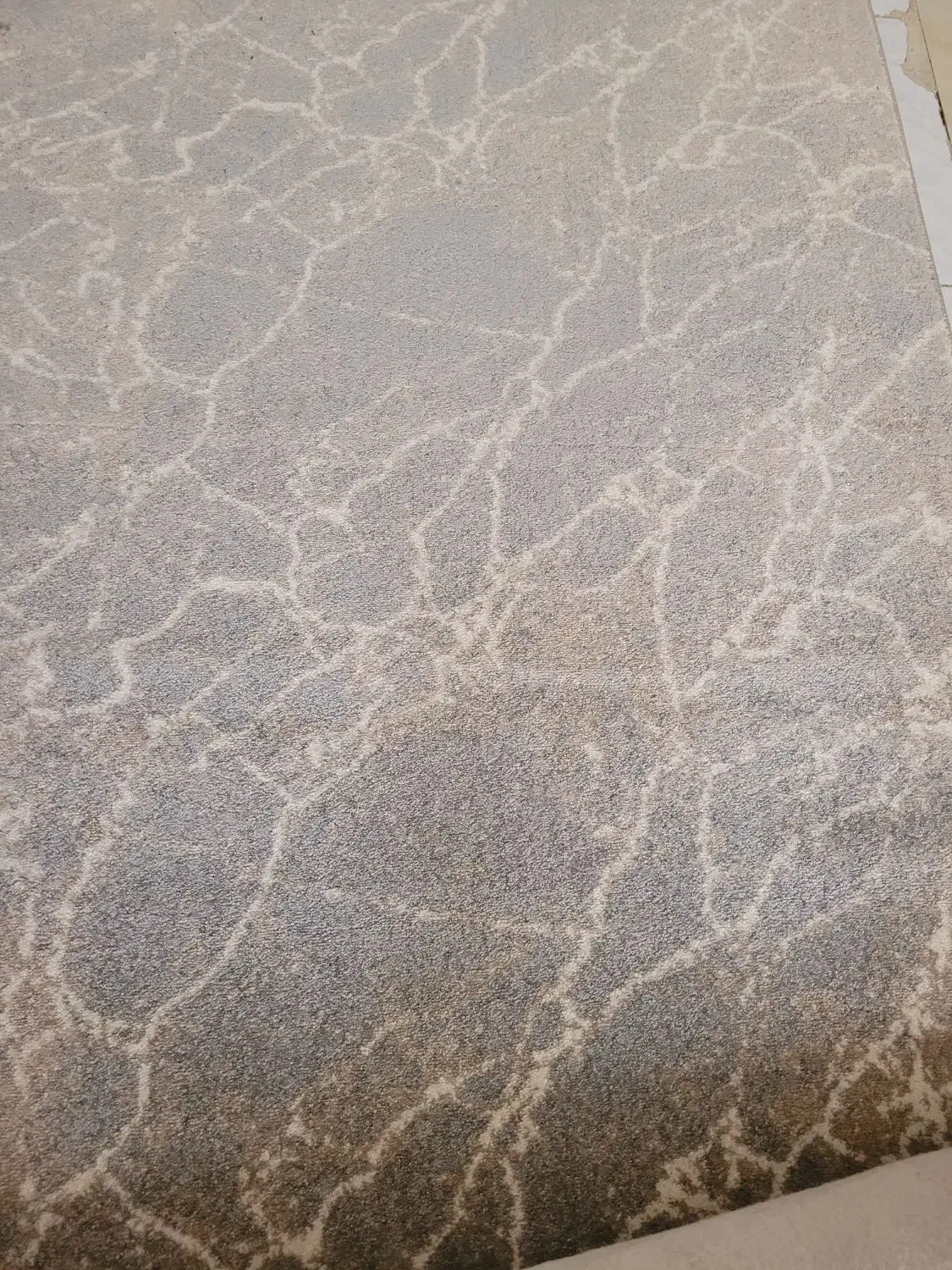 فرش در ابعاد ۱۸۰ در ۱۲۰|فرش|ملایر, |دیوار