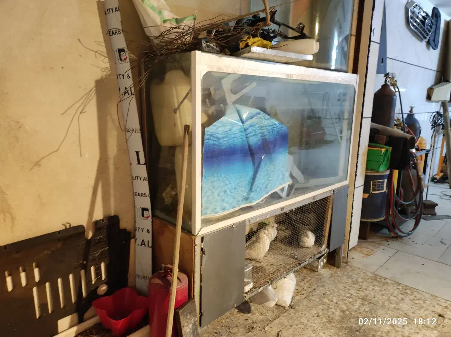 آکواریوم بزرگ ده میل|ماهی|الوند, |دیوار