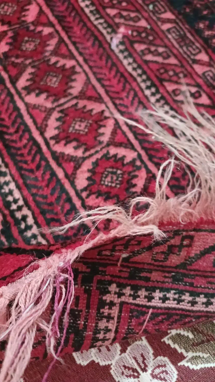 فرش دستبافت ابریشم عشایر و ماشینی و گلیم|فرش|صفادشت, |دیوار