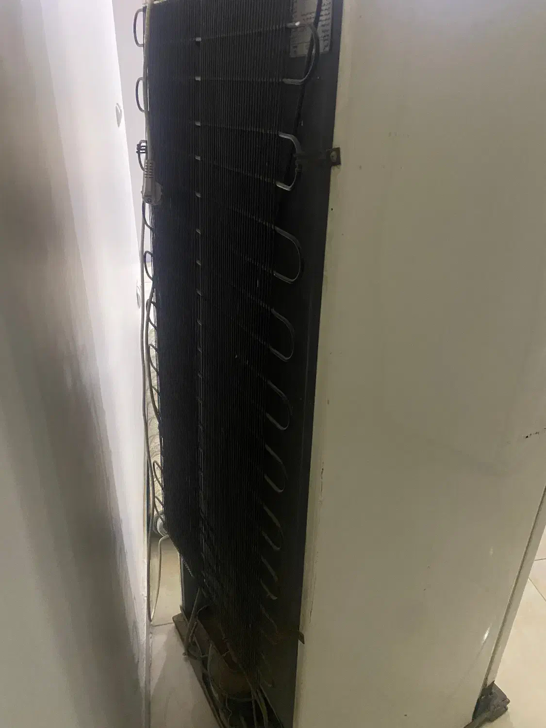 یخچال سالم سالم|یخچال و فریزر|اهواز, گلستان|دیوار